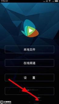 在线看福利视频体验区,探索在线看福利视频体验区的全新娱乐盛宴