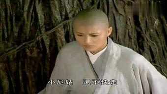 尼姑吧福利在线,揭秘神秘修行之地的新时代魅力