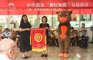 在线看福利院67194,67194背后的温暖故事